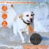 Dog Training Collar with Remote Rechargeable Electronic Shock Collar