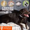 Natural Flea Tick Collar for Dogs 6 Months Control of Best Prevention Safe Treatment Anti Fleas and Ticks Essential Oil Repellent Pack of 1