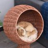 Modern Cat Bed Fancy Design Espresso Color Wicker Lounge