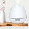 2023 New Rose Aroma Diffuser Negative Ion Diffuser Humidifier Colorful Atmosphere Lamp Aroma Diffuser