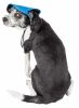 Pet Life 'Cap-Tivating' Uv Protectant Adjustable Fashion Dog Hat Cap