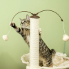 Kitten Activity Center With Condo Modern Cat Tree Tower Cat Activity Tower